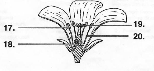 grp005-1.jpg