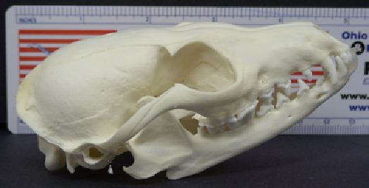 mc007-1.jpg