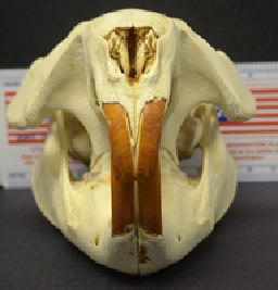 mc015-1.jpg